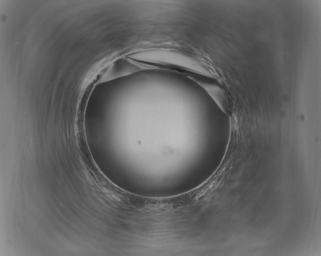 X0000071900340200607281809