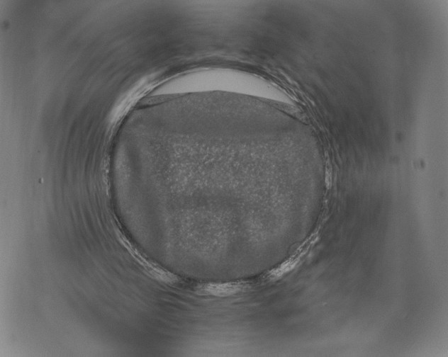 X0000071900341200607281809