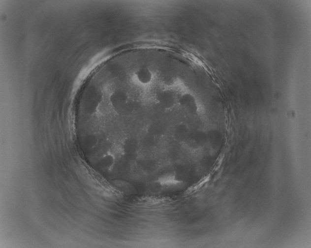 X0000071900343200607281809