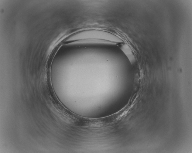 X0000071900344200607281809