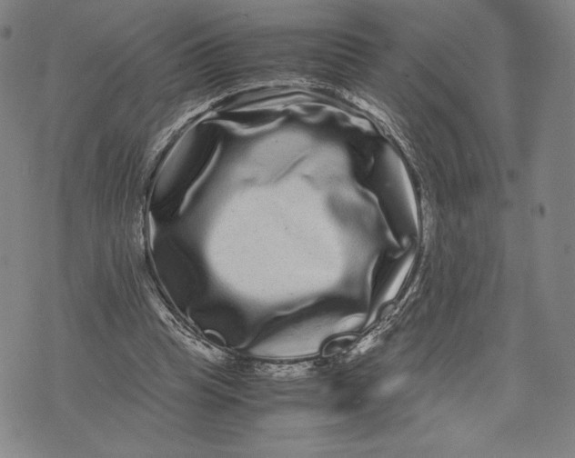 X0000071900345200607281809