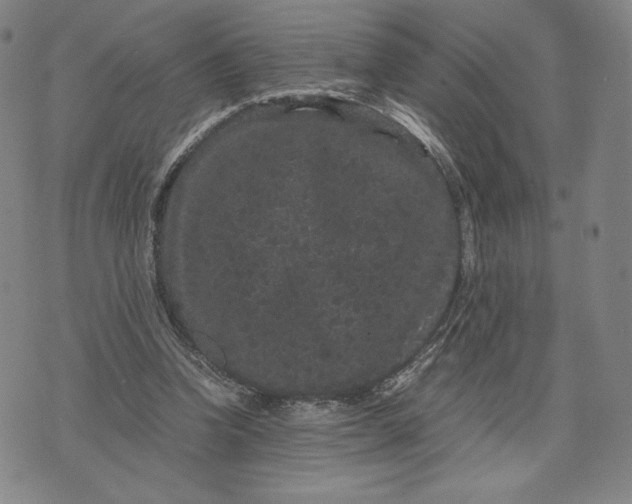 X0000071900346200607281809