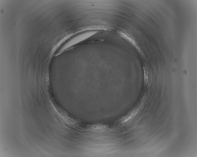 X0000071900348200607281809