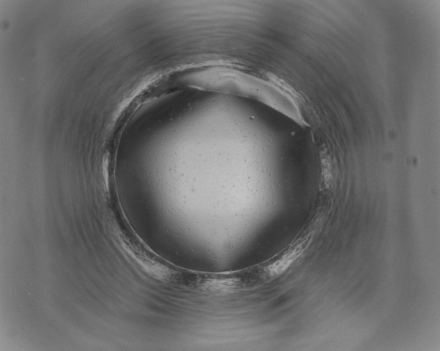 X0000071900350200607281809