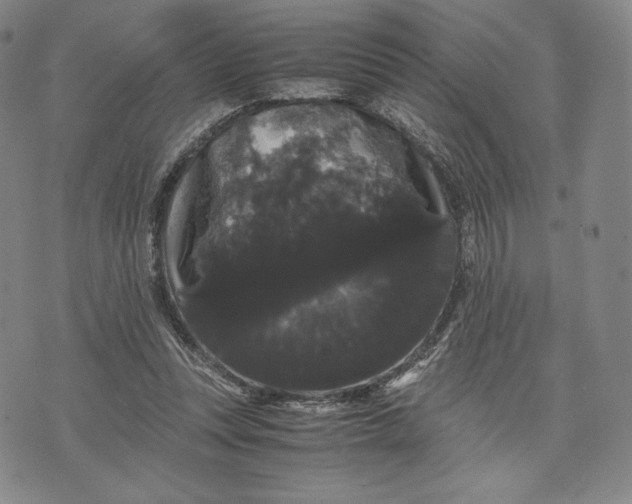 X0000071900351200607281809