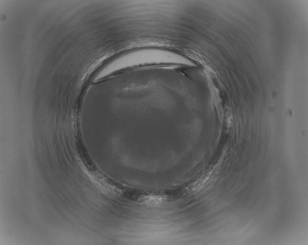 X0000071900352200607281809