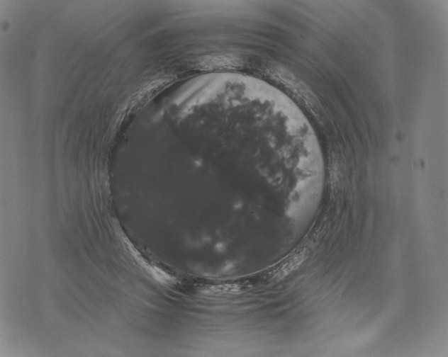 X0000071900353200607281809