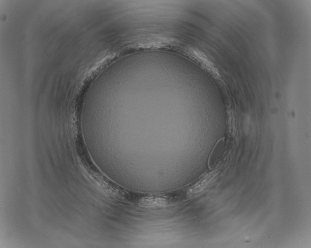 X0000071900354200607281809