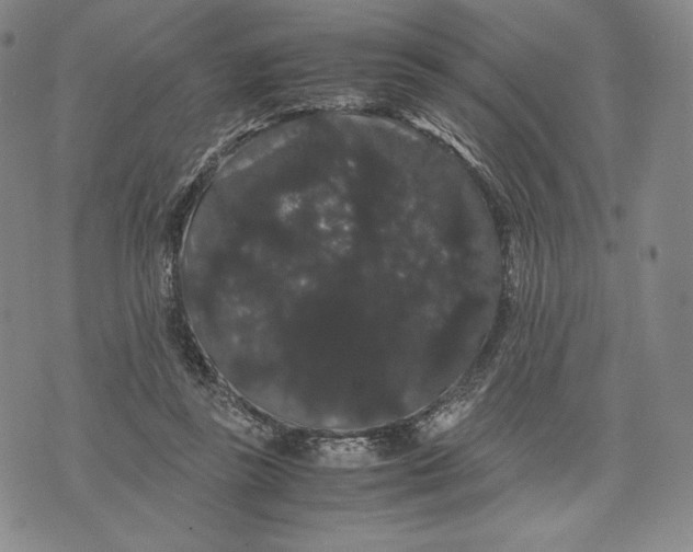 X0000071900355200607281809