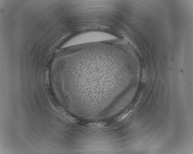 X0000071900356200607281809