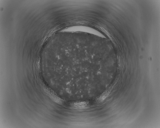 X0000071900357200607281809