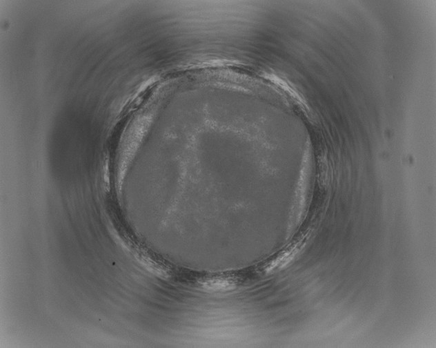 X0000071900358200607281809