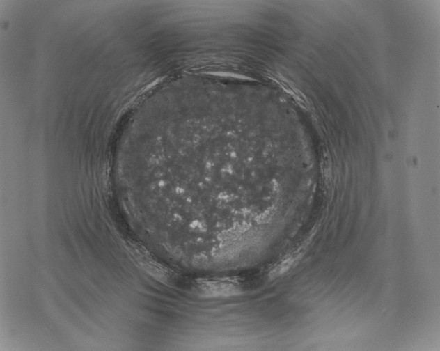 X0000071900359200607281809