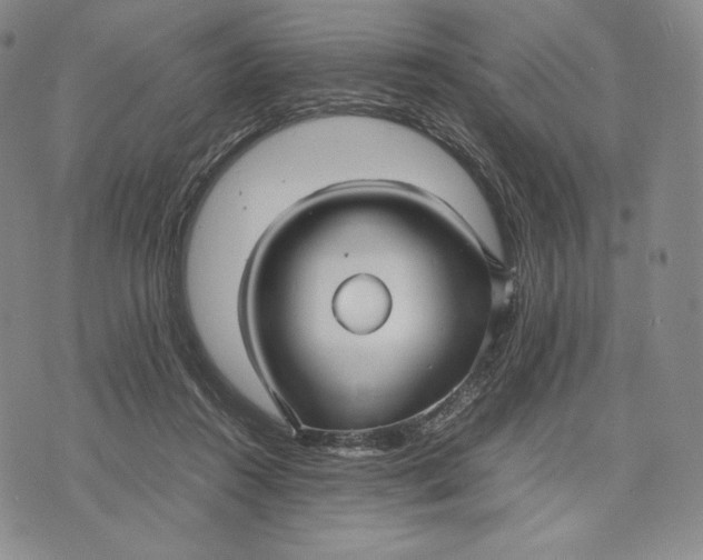 X0000071900360200607281809