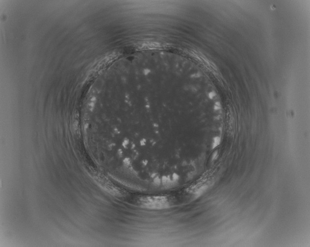 X0000071900361200607281809