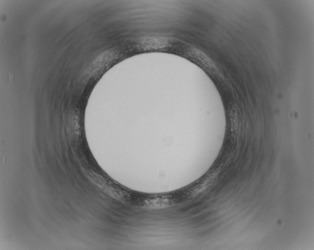 X0000071900362200607281809