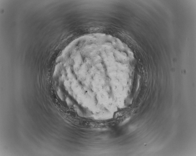 X0000071900363200607281809