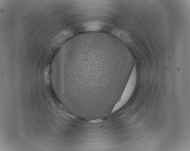 X0000071900364200607281809