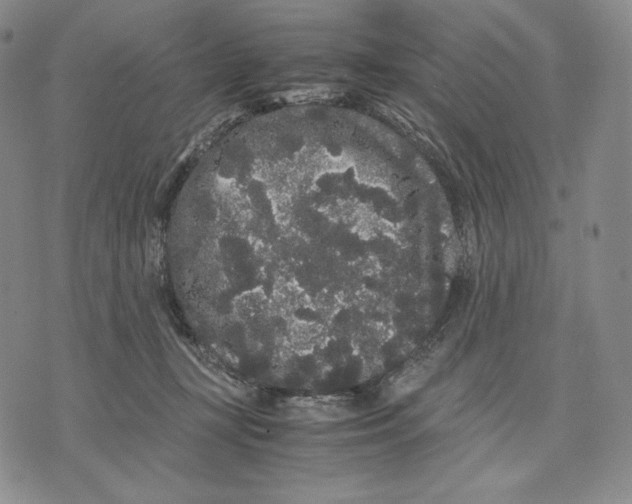 X0000071900367200607281809