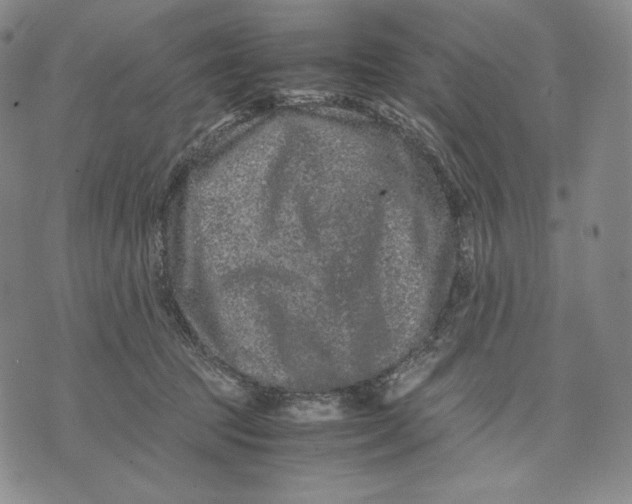 X0000071900369200607281809