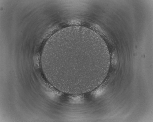 X0000071900370200607281809