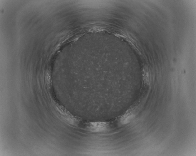 X0000071900371200607281809