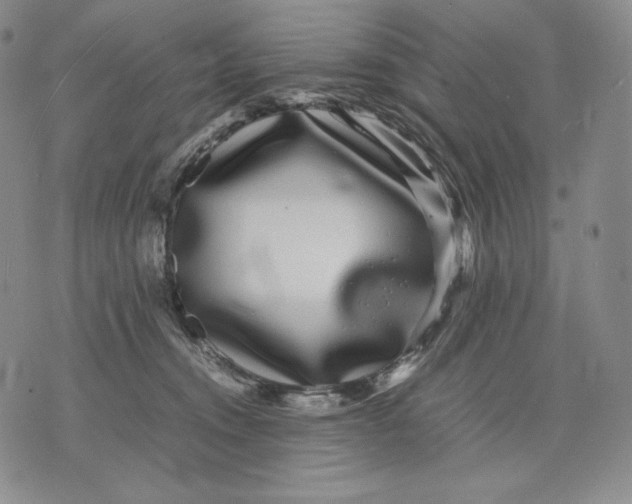 X0000071900372200607281809