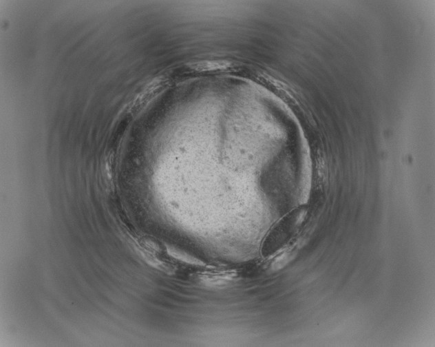 X0000071900373200607281809