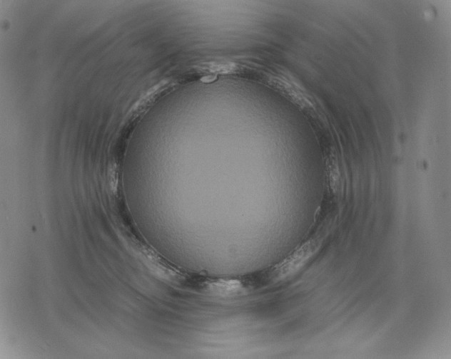 X0000071900374200607281809