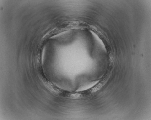 X0000071900376200607281809