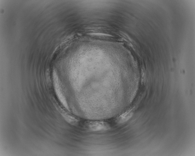 X0000071900377200607281809