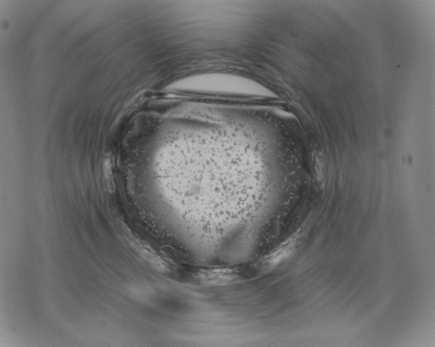 X0000071900378200607281809