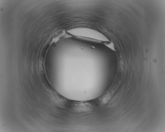 X0000071900379200607281809