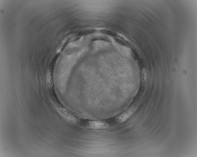 X0000071900380200607281809