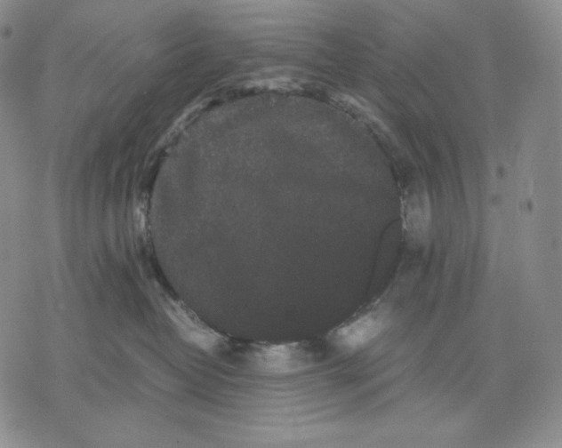 X0000071900382200607281809