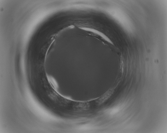 X0000071900383200607281809