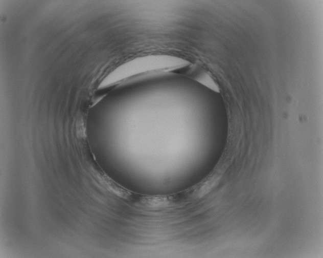 X0000071900384200607281809