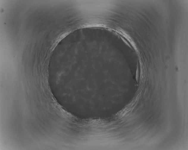 X0000071900385200607281809