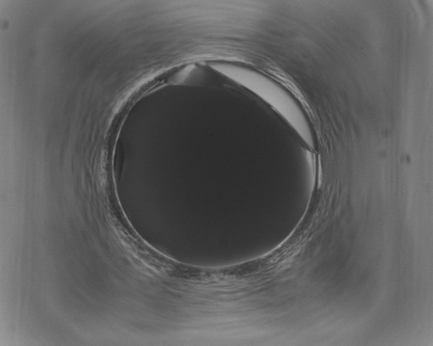 X0000071900387200607281809