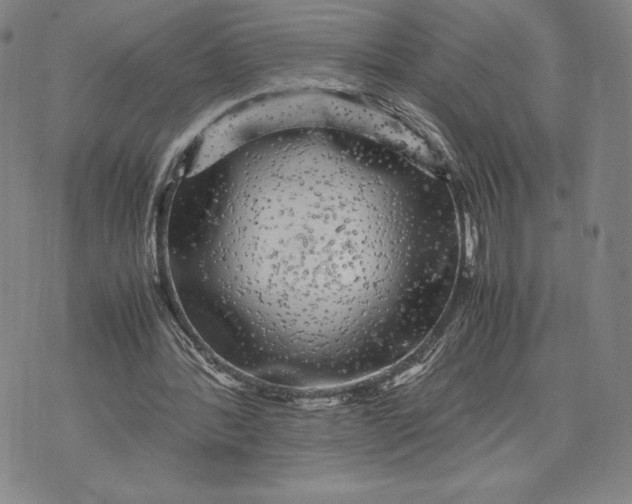 X0000071900388200607281809