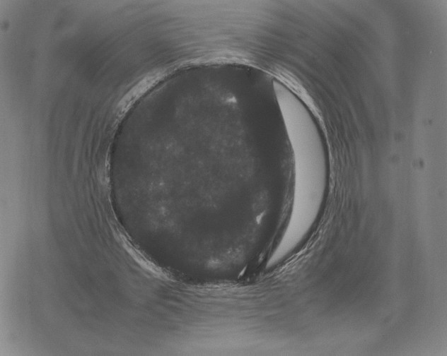 X0000071900389200607281809