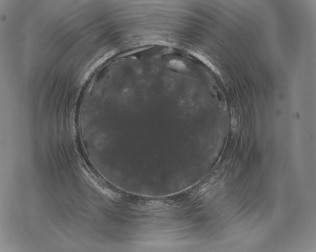 X0000071900390200607281809