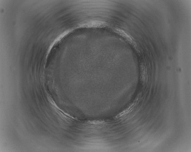 X0000071900392200607281808