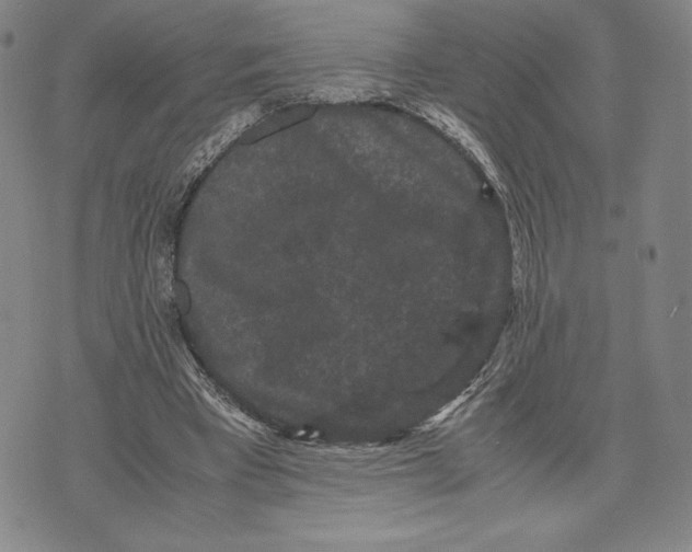 X0000071900393200607281808