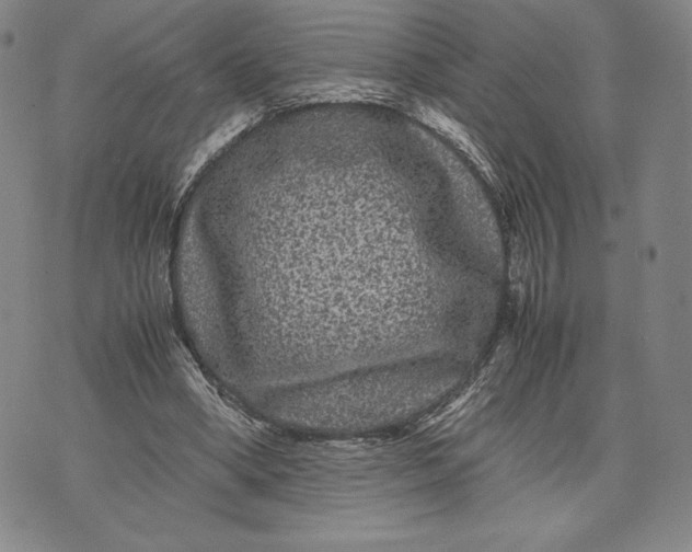 X0000071900394200607281808