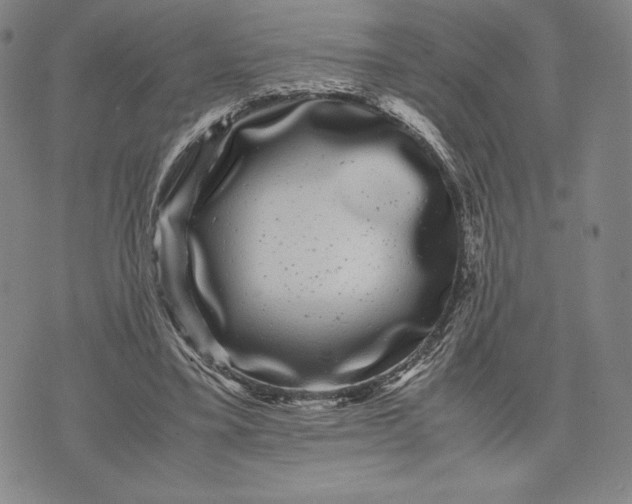 X0000071900395200607281808