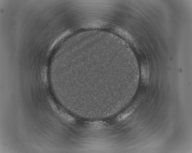 X0000071900396200607281808