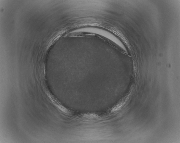 X0000071900397200607281808