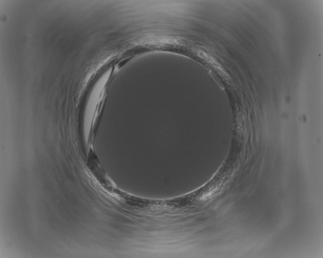 X0000071900399200607281808