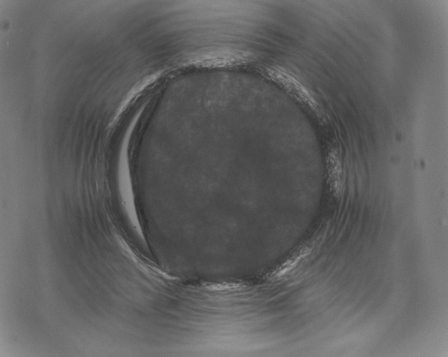 X0000071900400200607281808